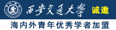 大鸡巴插插我诚邀海内外青年优秀学者加盟西安交通大学